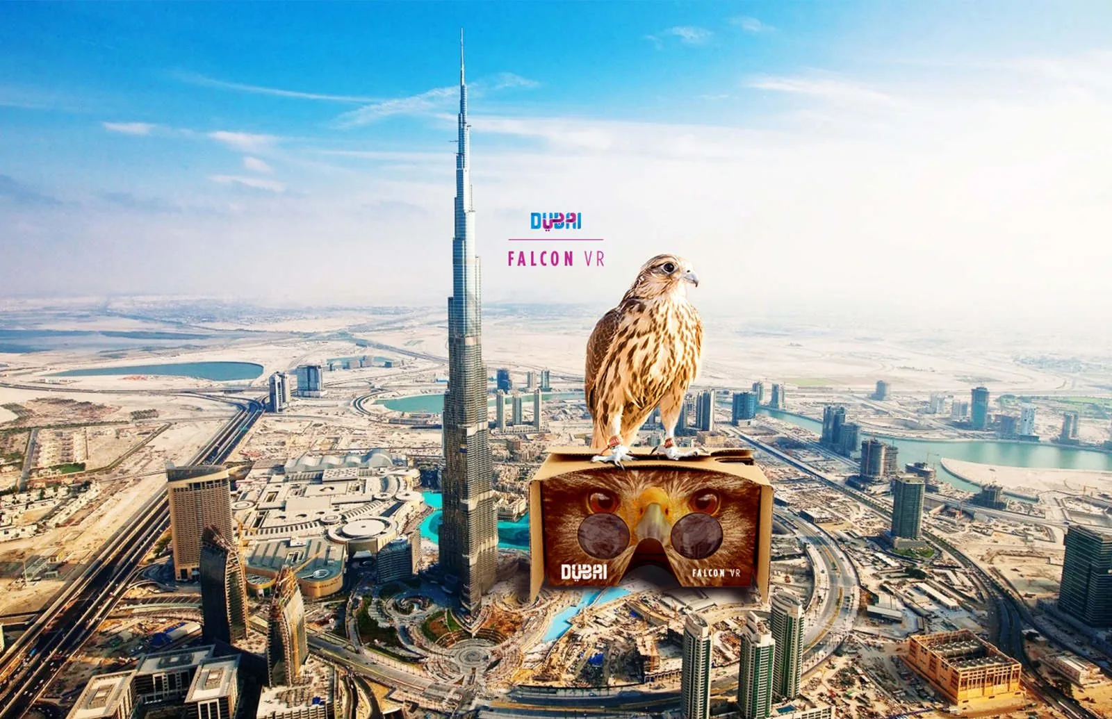 Husani Barnwell portfolio: Dubai Falcon VR 1