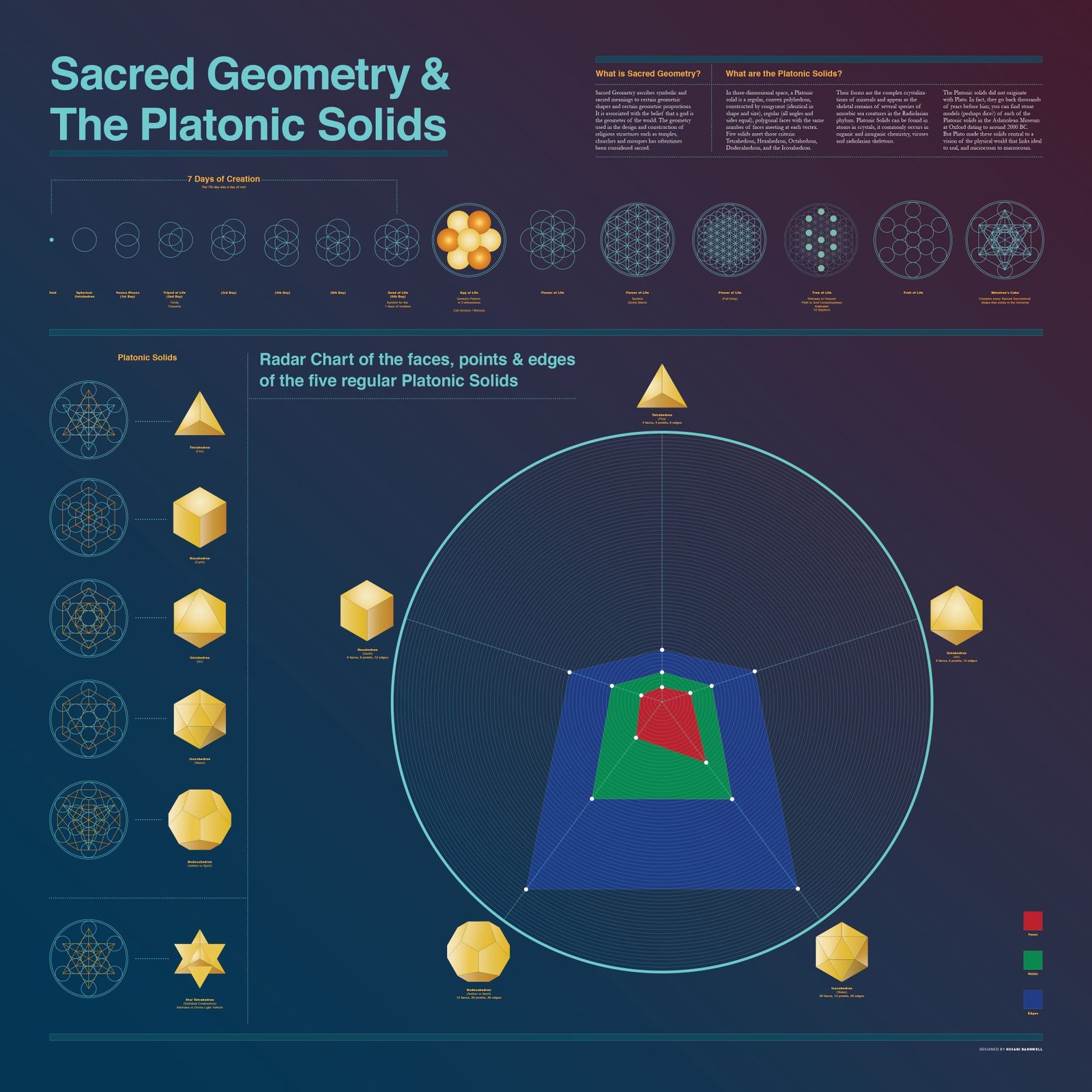 Full Sacred Geometry and the Platonic Solids print: the 7 Days of Creation sequence from void to Metatron's Cube, the five gold Platonic solids, and a radar chart of their faces, points and edges