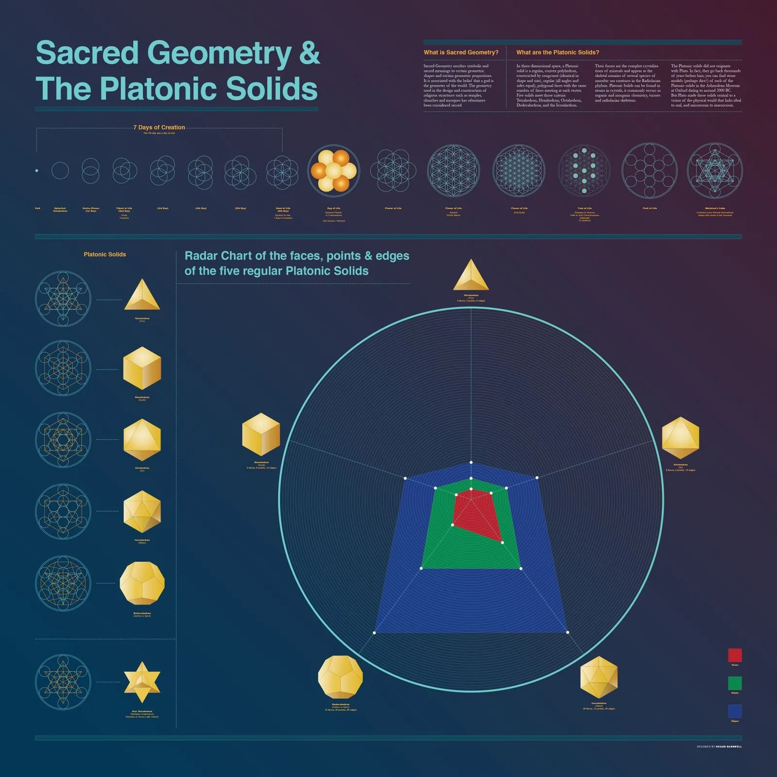 Full Sacred Geometry and the Platonic Solids print: the 7 Days of Creation sequence from void to Metatron's Cube, the five gold Platonic solids, and a radar chart of their faces, points and edges