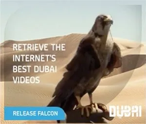Dubai falcon rich-media banner reading Retrieve the internet's best Dubai videos, with a Release Falcon button