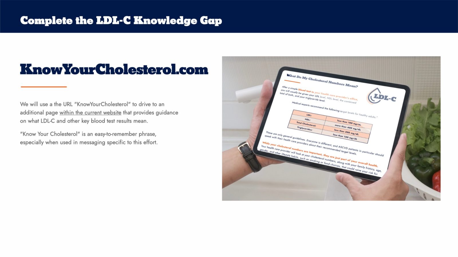 Novartis market prep deck: KnowYourCholesterol.com website