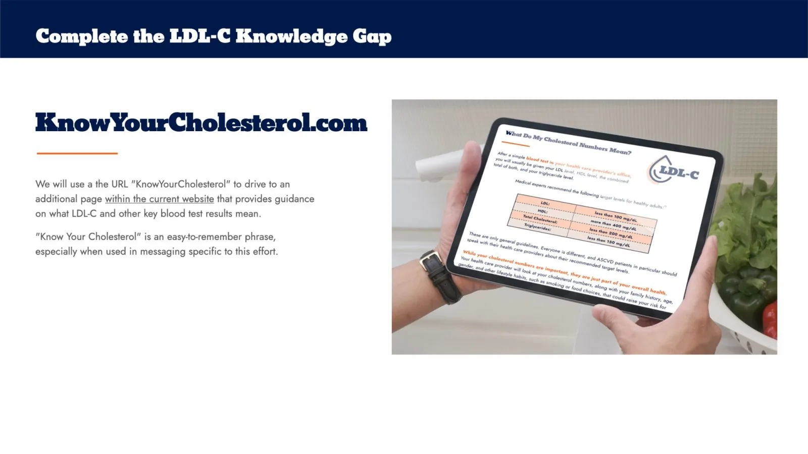 Novartis market prep deck: KnowYourCholesterol.com website
